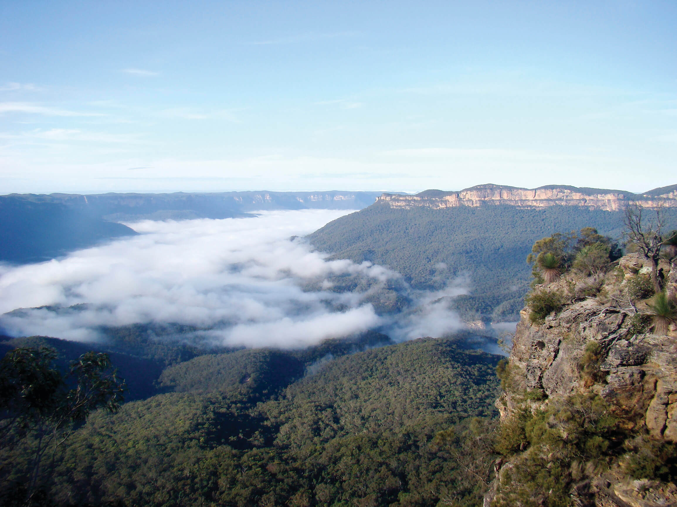 The Greater Blue Mountains World Heritage Area