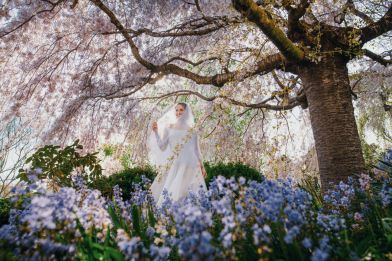 Blue Mountains Botanic Garden Weddings