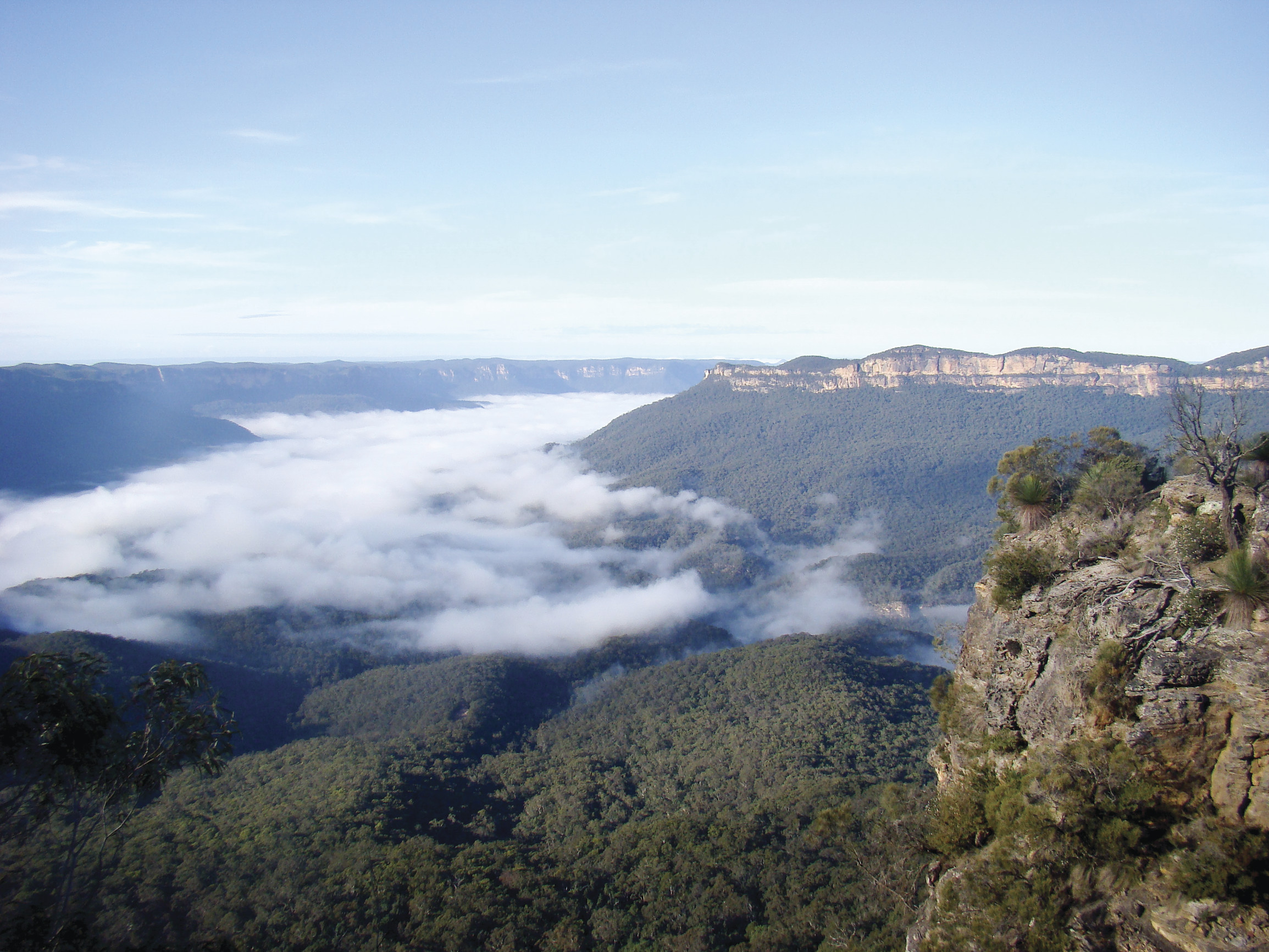 Screenshot or Official Image for visitbluemountains.com.au - Your Complete Blue Mountains Guide | Visit Blue Mountains
